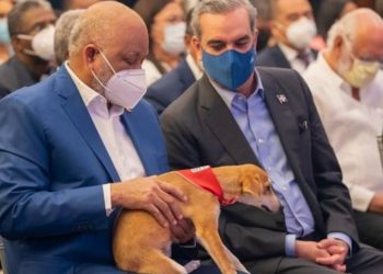 Fundación Albergue S.O.S fue quien le puso los nombres de las hermanas Mirabal a tres perritas