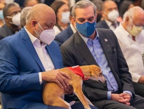 Fundación Albergue S.O.S fue quien le puso los nombres de las hermanas Mirabal a tres perritas