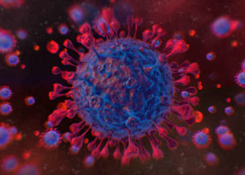 Descubren que el covid-19 puede hacer encoger el cerebro y dañar sus tejidos