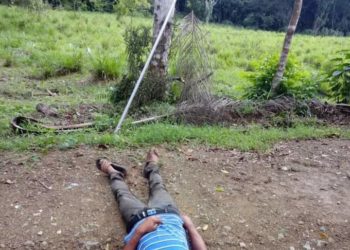 Hombre muere electrocutado al hacer contacto con cable eléctrico cuando tumbaba palma