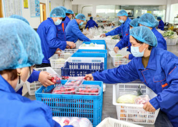 La Casa Blanca anuncia para el 12 de mayo la Segunda Cumbre Mundial de covid-19