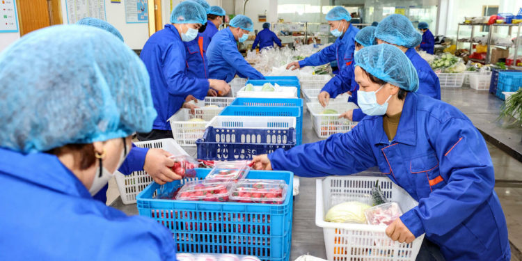 La Casa Blanca anuncia para el 12 de mayo la Segunda Cumbre Mundial de covid-19