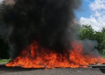 La Procuraduría quema más de 1,000 kilogramos de drogas