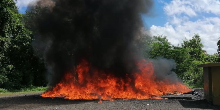 La Procuraduría quema más de 1,000 kilogramos de drogas