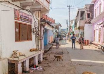 Arrestan a los padres de un niño que vivía encerrado con 20 perros en condiciones insalubres en la India