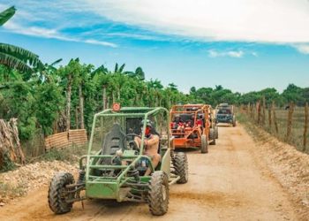 Intrant regula remolques, semirremolques y buggys de fabricación local