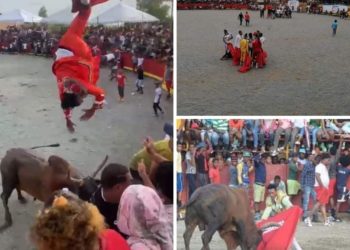 Un joven fue elevado como una chichichigua por un toro en El Seibo