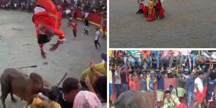 Un joven fue elevado como una chichichigua por un toro en El Seibo