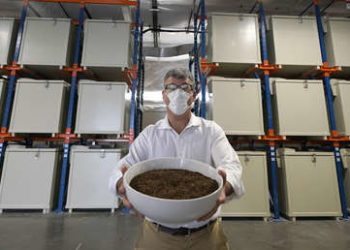 ‘Polvo eres… y en abono te convertirás’: el estado de Nueva York avanza para legalizar la conversión de cadáveres en fertilizante