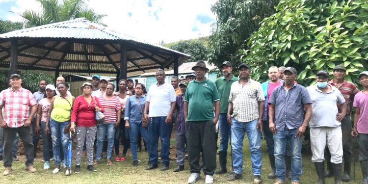 Productores dicen temen ser desalojados de unos terrenos en Bayaguana