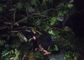 Conductor de grua remolcaba camión y cayó al precipicio en la carretera Sánchez, Las Terrenas