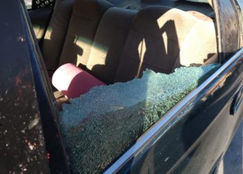 Sucedió! Caballo pierde el control durante desfile de San Juan Bautista y se estrella contra auto causando dos heridos