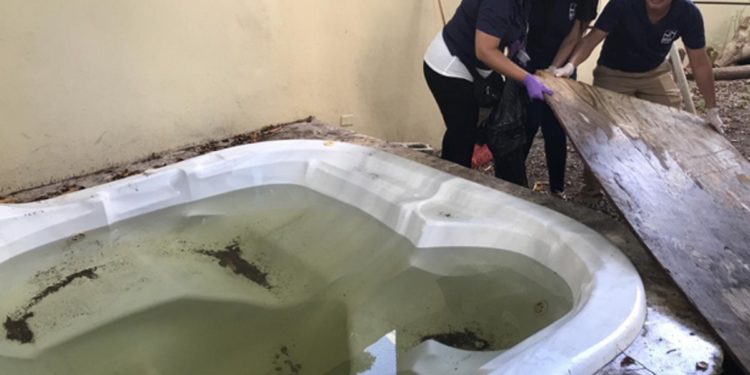 Autoridades intervendrán varias provincias por casos de dengue