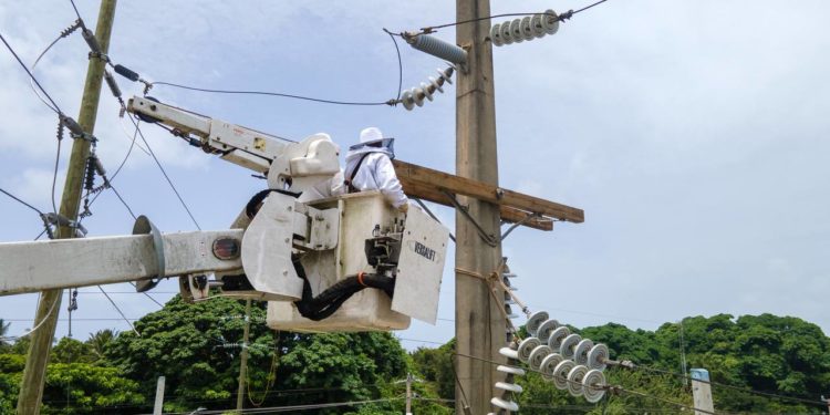 ETED trabajará este jueves en líneas del Distrito Nacional, Santo Domingo Este y el viernes en San Juan