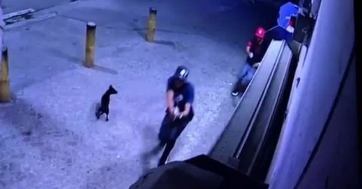 Delincuentes asaltan fritura e hieren dos personas en Villa Mella