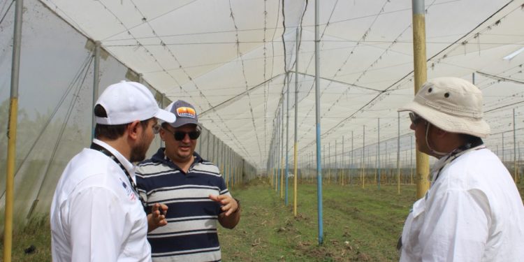 Claudio Caamaño socializa política de tecnificación de riego con productores y juntas de regantes de la región noroeste