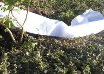 Patrulla de la policía encuentra hombre en estado agónico mientras patrullaba en Bani