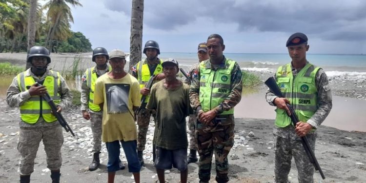 Medio Ambiente a través del SENPA detiene pescadores que mataron tiburón toro en playa Nizao