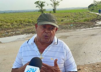 Productores de arroz preocupados porque factorías no quieren recibir el cereal en Villa Riva