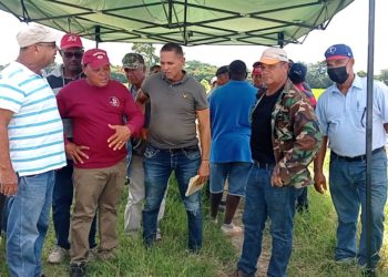 Productores de arroz piden la intervención del Gobierno ante negativa de molineros para la entrega del subsidio en Dajabón