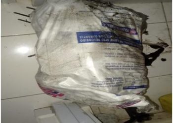 Apresan tres desguazaban motocicletas en Santiago Rodríguez