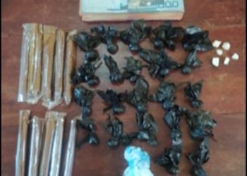 Atrapan una persona con presunta droga en Castañuelas