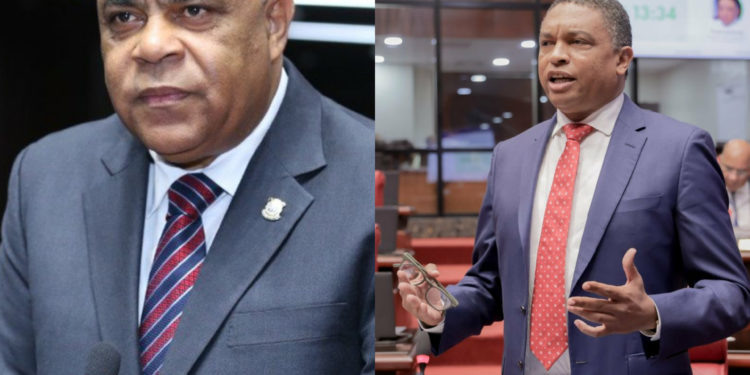 Bloque del PLD elige voceros en la Cámara de Diputados y el Senado de la República