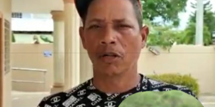 Piden a las autoridades investigar muerte de tres caballos en Villa Riva