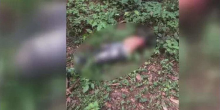 Encuentran hombre descuartizado en finca de San José de Ocoa