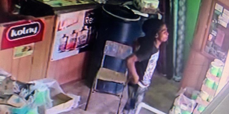 Dos jóvenes penetraron a una ferretería con intento de atraco en SPM.