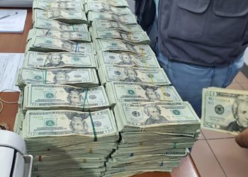 Aduanas decomisa unos US$879, 020 procedentes de Islas Bahamas