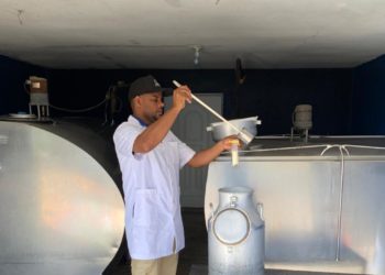 La DIGEGA y CONALECHE realizan 6,444 analíticas para determinar calidad de leche