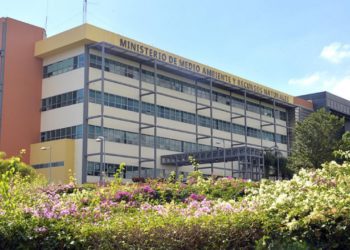 Medio Ambiente aclara que no ha confirmado la especie cuya picadura afectó a joven de provincia Valverde