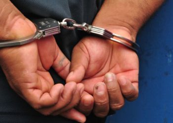 Policía Nacional apresa hombre por robo de más de 100 gallos de pelea en SFM