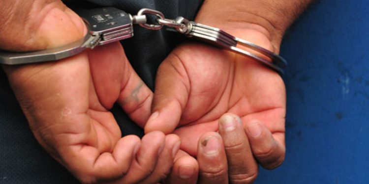 Policía Nacional apresa hombre por robo de más de 100 gallos de pelea en SFM