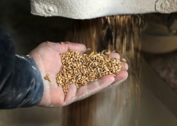 La ONU advierte de posible escasez de alimentos en 2023