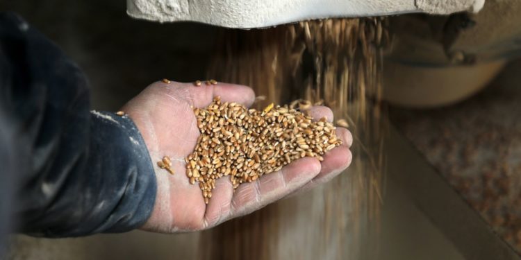 La ONU advierte de posible escasez de alimentos en 2023