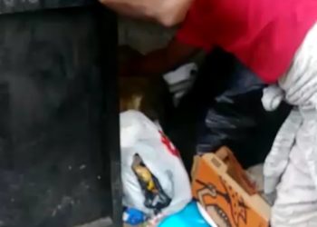 Video | Encuentran bebé recién nacida de un basurero en SFM