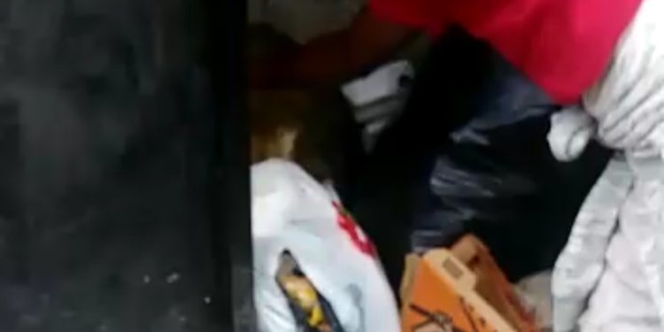 Video | Encuentran bebé recién nacida de un basurero en SFM