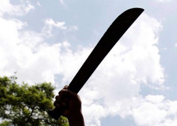 Hombre ataca a macheazos a su familia, incluida una nieta de dos años