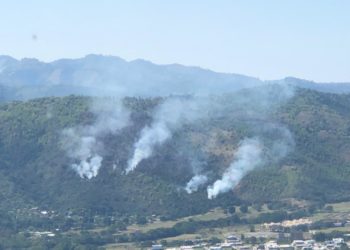 Homero Figueroa informa incendio forestal que afectaba Parque Nacional Valle Nuevo está controlado