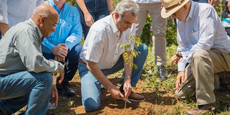 Presidente Abinader declara Plan de Reforestación de seguridad nacional