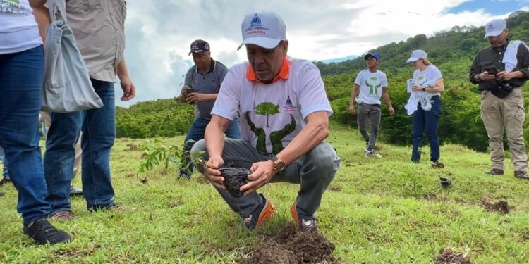 Ministerio de Agricultura siembra más de mil plantas en San Cristóbal