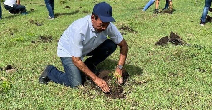 Alcalde José Montás  destaca Jornada Reforestación Gobierno con siembra de caoba, mara y teca