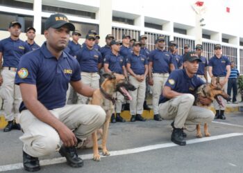 Presidente Abinader emite decreto 301-23 que crea la Carrera del Agente de la DNCD