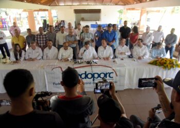 Fedoporc pide al presidente Abinader que elimine la carne de cerdo del Proyecto de Ley de Tasa Cero