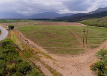 ETED trabajará en líneas de San Cristóbal y Peravia este martes