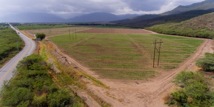 ETED trabajará en líneas de San Cristóbal y Peravia este martes