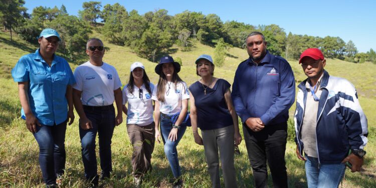 Voluntarios de Banco Popular siembran 4,300 árboles en Plan Sierra