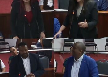 Regidores de FP denuncian falta de transparencia en Concejo de Santiago de los Caballeros